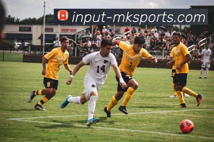 MK体育平台生态图