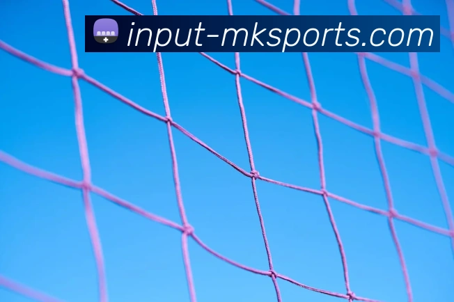 MK体育全站App MK体育全站App